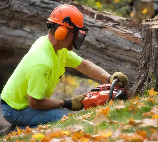 tree services Newcomerstown